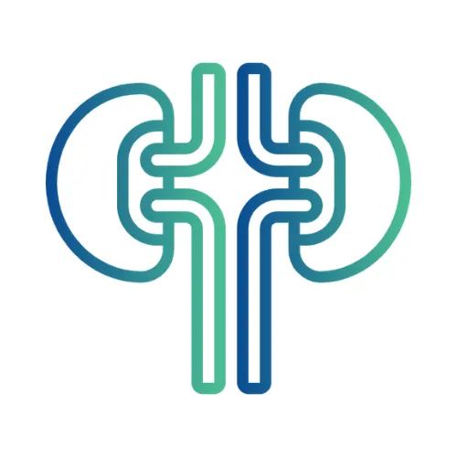 Urology Renal Transplant