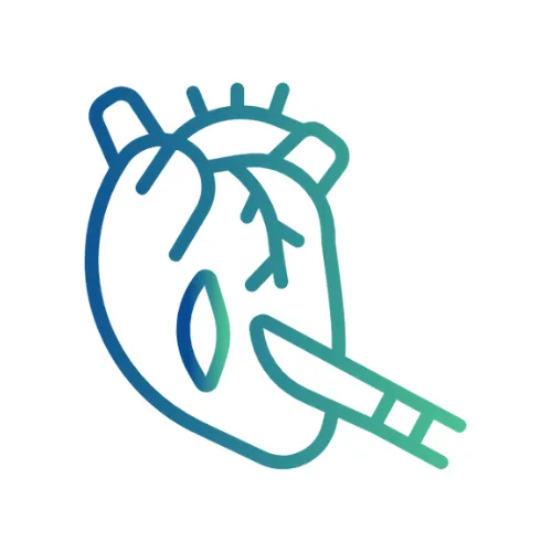 Vascular & Endovascular Surgery